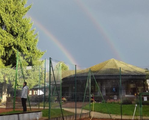 Regenbogen auf Tennisanlage hochkant